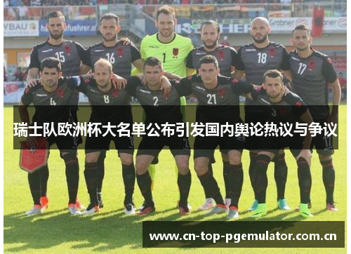 瑞士队欧洲杯大名单公布引发国内舆论热议与争议 瑞士队欧洲杯大名单公布引发国内舆论热议与争议